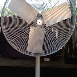 Pedestal Fan