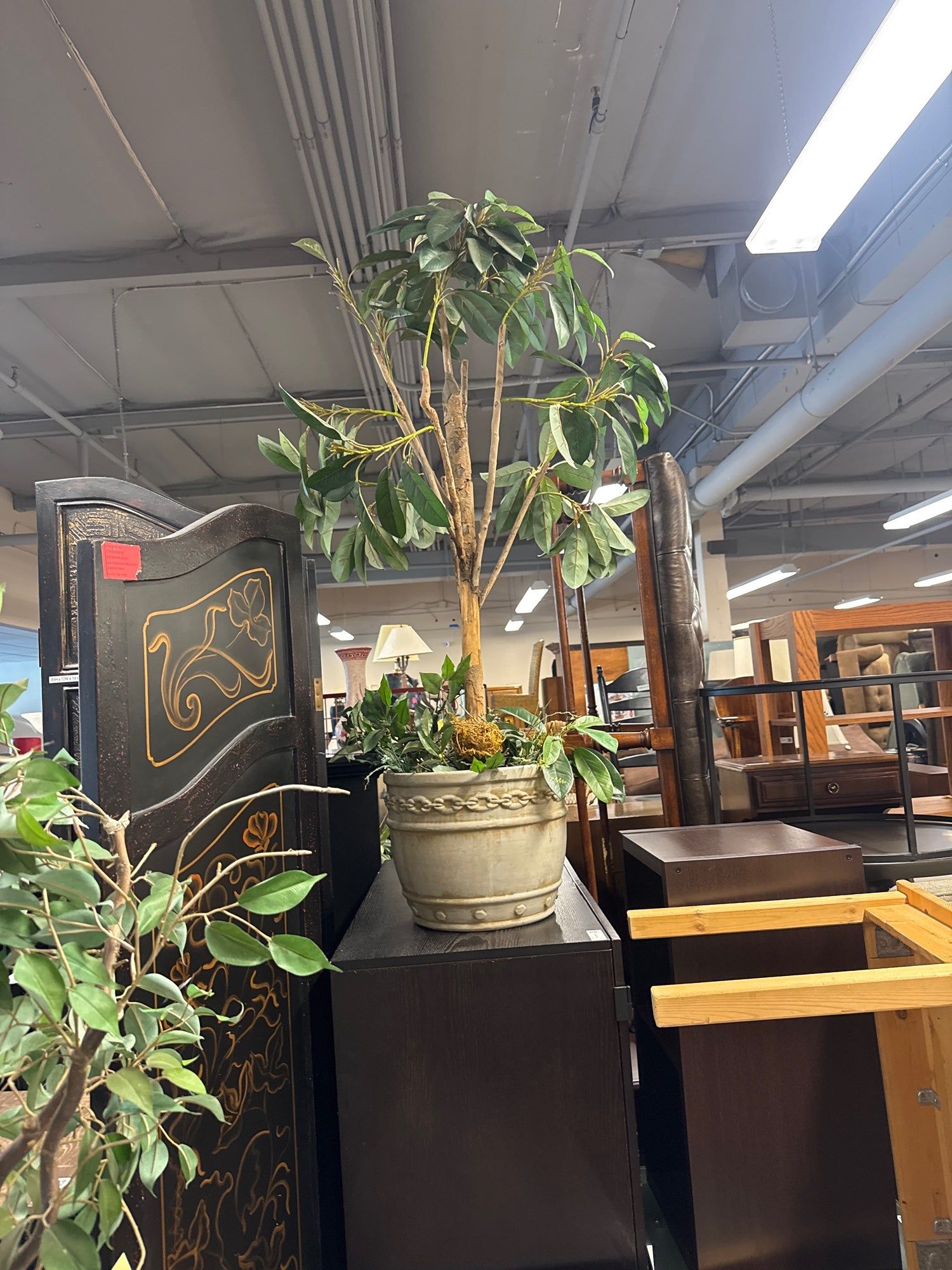 Tall Faux Rubber Tree in Ceramic Planter