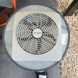 Fan