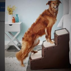 Pet Gear staircase