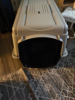 Large dog kennel