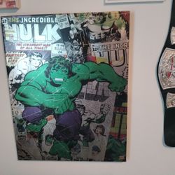 Hulk Canvas 