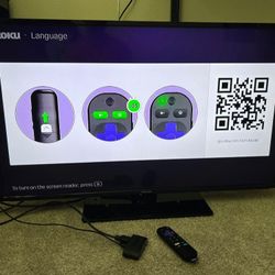 TV and Roku