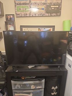 Insignia Flat Screen TV