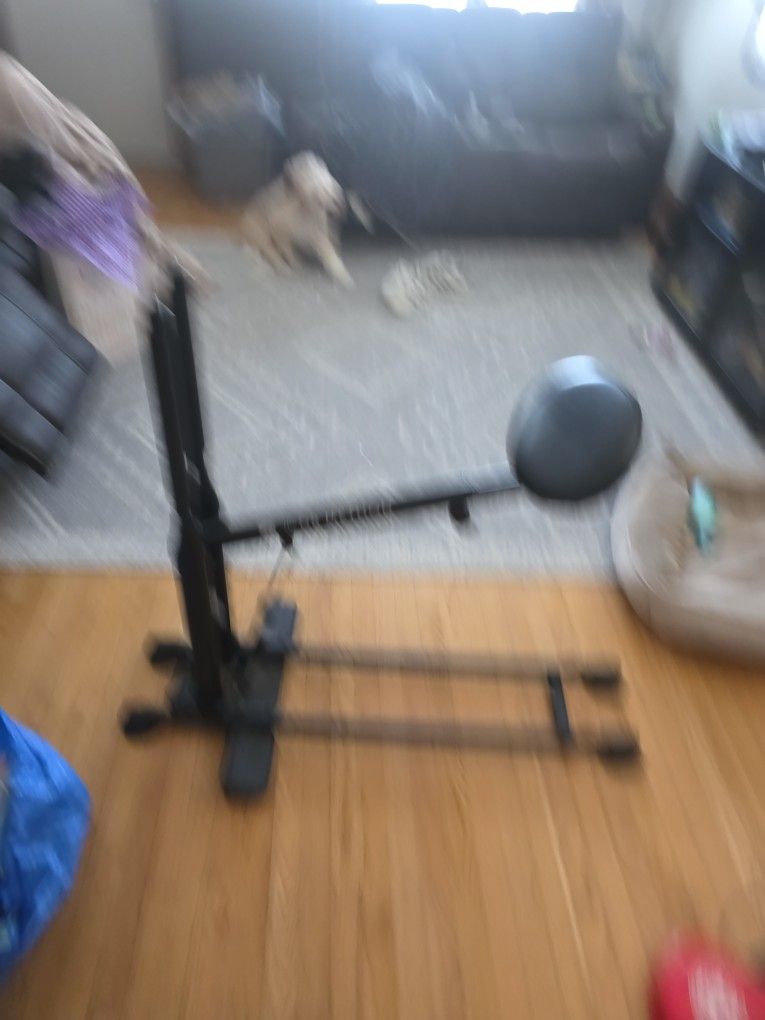 Home Squat Exercise Machine