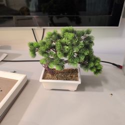 Bonsai Fake Tree 9 X 10