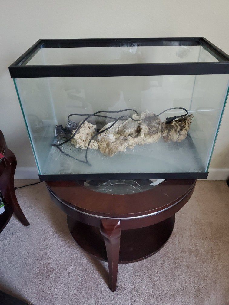 Salt Water Fish tank 