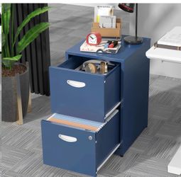2 Drawer File Cabinet, Metal Two Drawer Vertical File Cabinets with Lock, 18" D Storage Filing Cabinet for Home Office, Steel Light Duty Storage for L