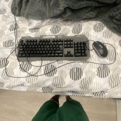 Keyboard And Mouse Used A Little Bit It Lights Up Not That Much Damage