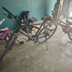 Giant Escape Bike 