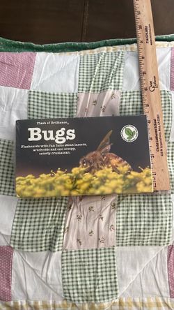 Flashcards “ BUGS”
