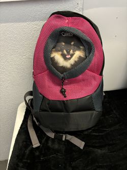 🛜🎒🐕🐈🛜PET TRAVEL BACKPACK
