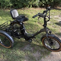 Retrospec Tricycle