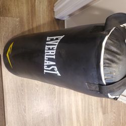 Everlast Heavy Duty Punching Bag