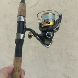 Daiwa Proteus 7’6” Heavy + Saltist 6500 Combo (50lb Braid)