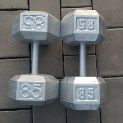85LB Dumbbell Set
