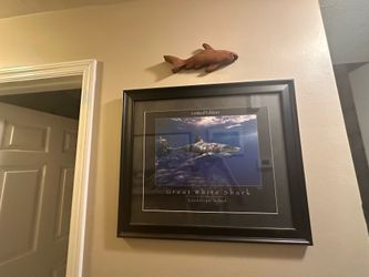 Great white shark print