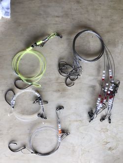 Fishing Leaders Bull Red , Shark