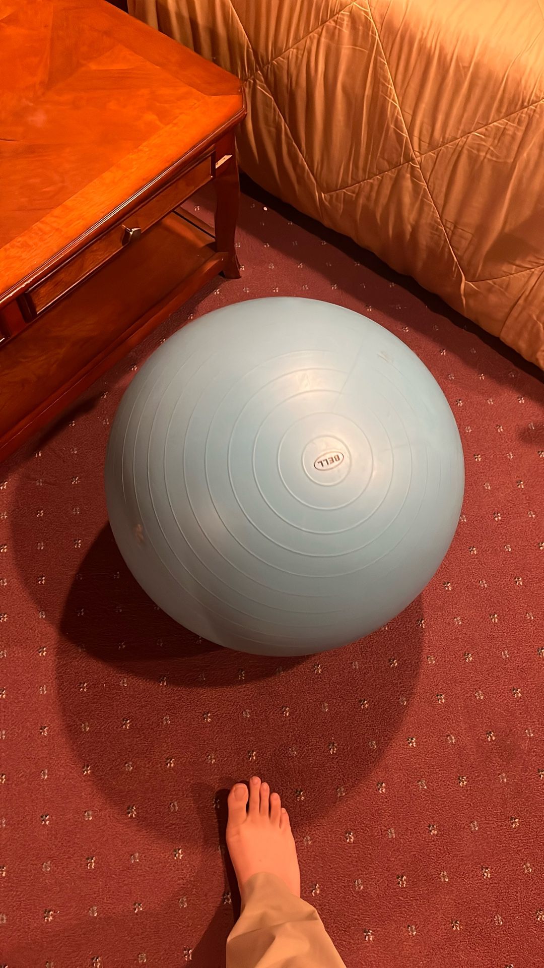 Exercise Ball
