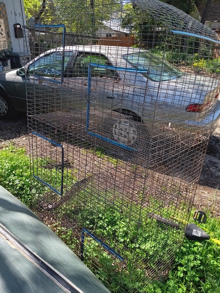 Bird Cage