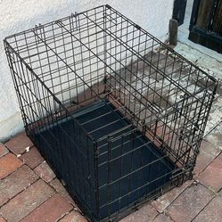 22” Dog Create 