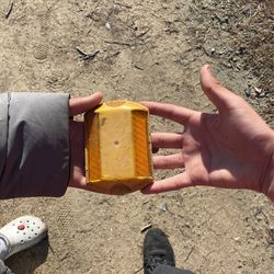 Road Light That Travis Scout Drove Over