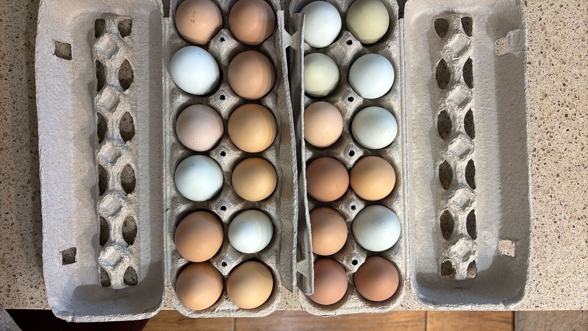 Fresh Eggs In Chandler 
