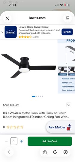 Ceiling fan