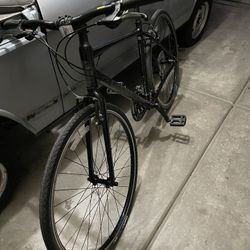 Giant Escape 2 bike