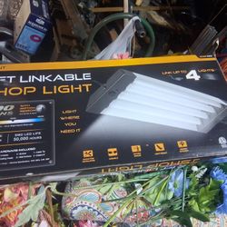 Light