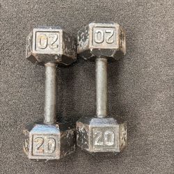 20 Pound Dumbbell