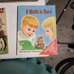 A Moth Is Born Book 