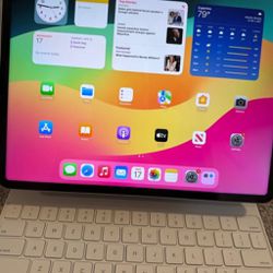 iPad Pro 12.9 in (6th Generation) 256GB - WiFi Only