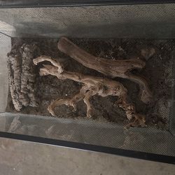 Reptile Tank