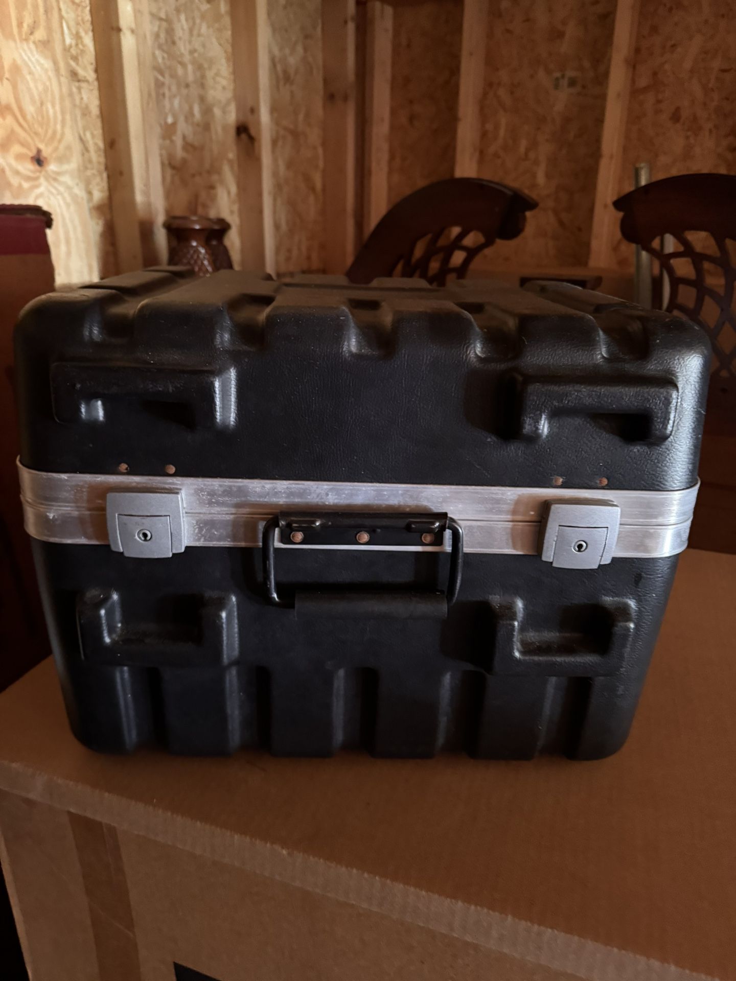SKB Mic Case