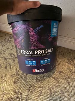 Coral pro salt