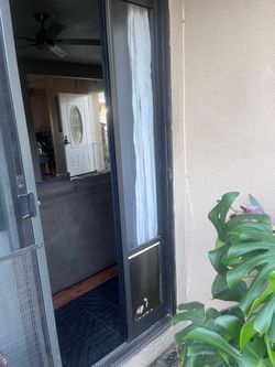 Doggy door