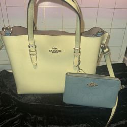 Small Molly Tote With Matching Wristlet 