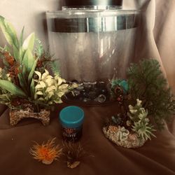 Fish Tank With Accessories 