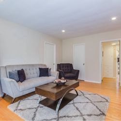 Coffee Table —Moving sale!