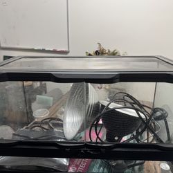 10 gallon reptile tank with heat sources