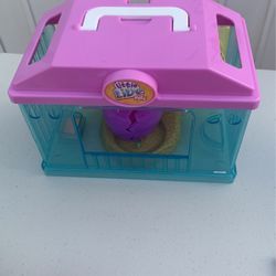 Little Live Chicken