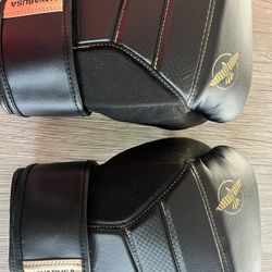 Hayabusa T3 Boxing Gloves
