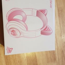  headphones with ears