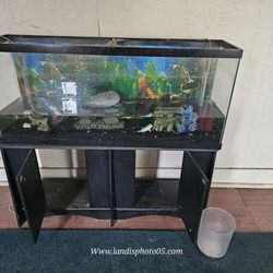 50 Gal Fish Tank W/ Stand, Rocks & Accessories 