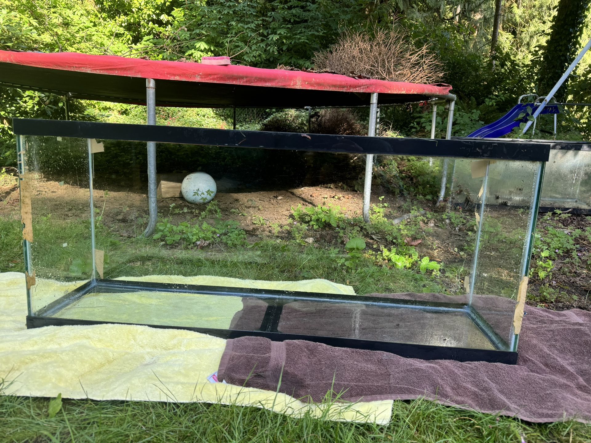 55 Gallon Fish Tank