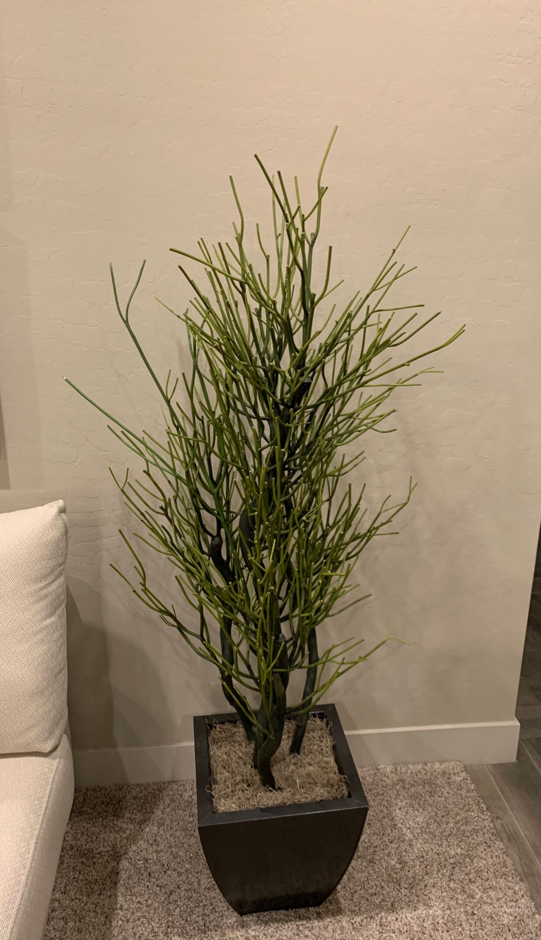 Artificial Plant 5ft 3 in