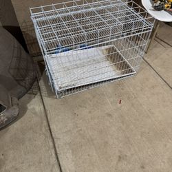 Large Chicken Cage 50 OBO 