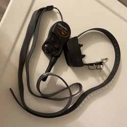 Sport dog e Collar 