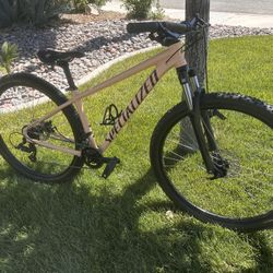 Specialized Rockhopper Mountain Bike